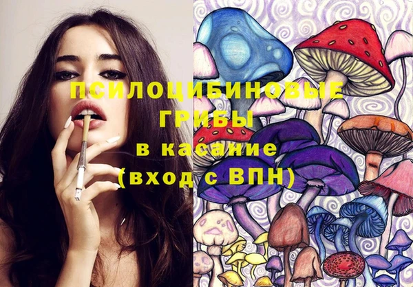 ECSTASY Абаза