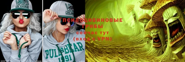 ECSTASY Абаза
