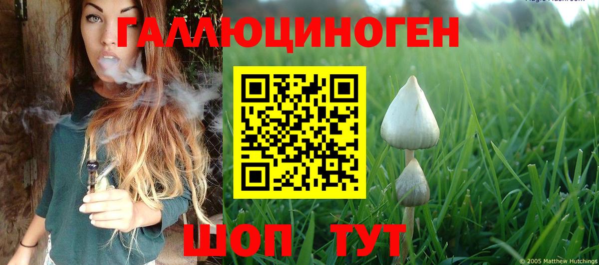 Галлюциногенные грибы Psilocybine cubensis Красноперекопск